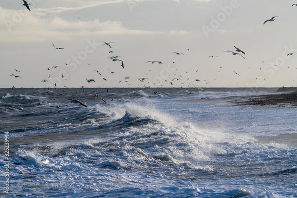 Fototapeta 荒れた海