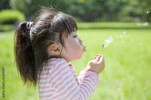Obraz 綿毛を飛ばす子供
