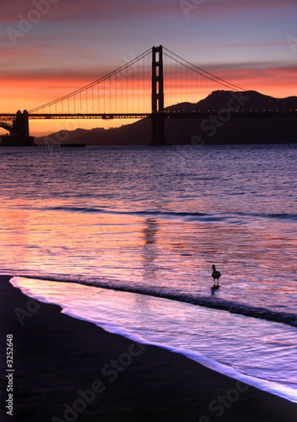 Obraz golden gate bridge, san francisco at sunset