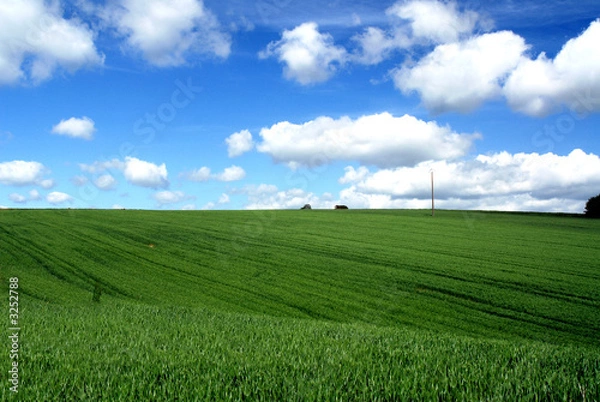 Fototapeta coline bretonne