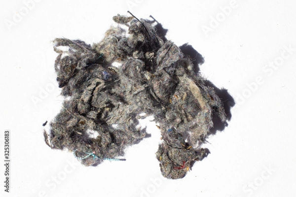 Fototapeta Dust, Fluff, Remnant of clothes on laundry after removing from clothing dryer on white background, Laundry machine cleaning concept, Close up and macro shot
