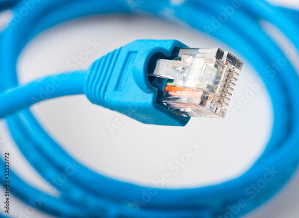 Fototapeta Network plug