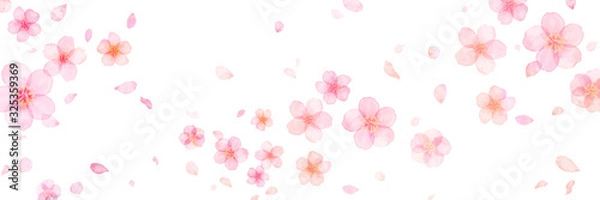 Fototapeta 桜　花びら　春　花　水彩　　