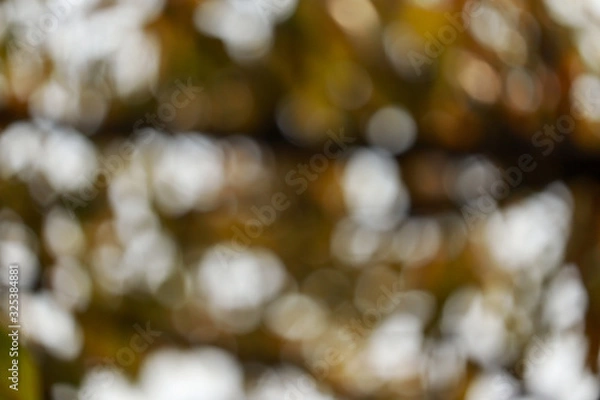 Obraz red yellow nature bokeh background