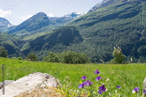 Fototapeta Geiranger is a small tourist village in Sunnmore region of Norway.