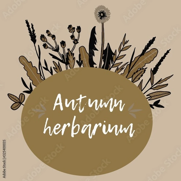 Obraz Herbs vector stock illustration set hand drawing