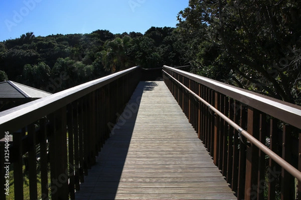 Fototapeta 鹿児島県南大隅町　佐多岬展望所への遊歩道