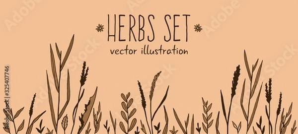 Obraz Herbs vector stock illustration set hand drawing