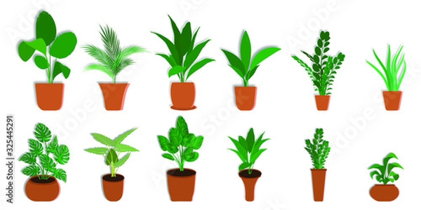 Obraz set of green plants