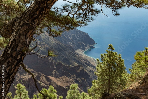 Fototapeta Mirador de Las Playas located in pine tree forest on El Hierro island. Spectacular views from the point above the clouds. Canary islands, Spain