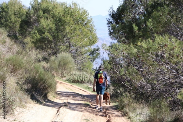 Fototapeta naturaleza 