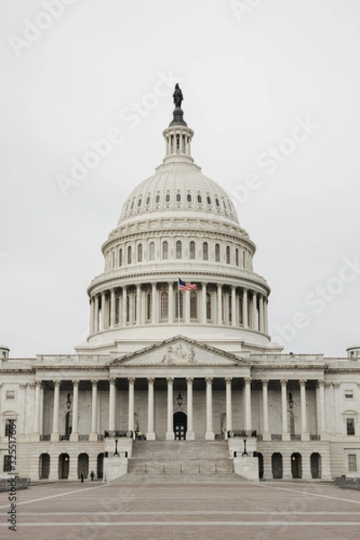 Obraz United States Capitol in Washington DC