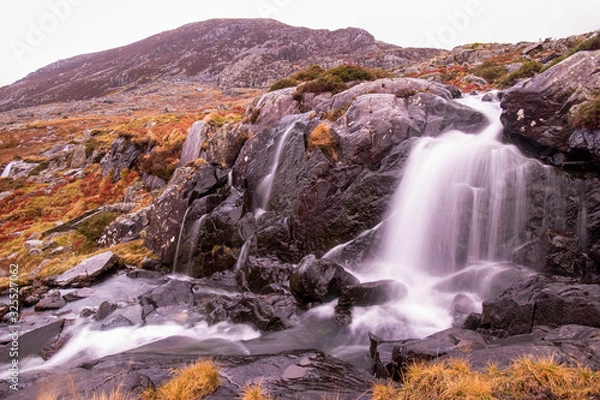 Fototapeta Stream along Afon Lloer - Wales.