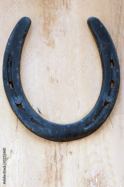 Obraz lucky horseshoe