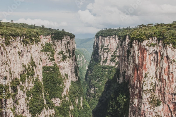 Obraz Parque Nacional de Aparados da Serra 