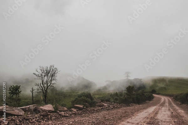 Obraz Montañas con neblina