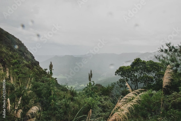 Obraz Montañas con neblina