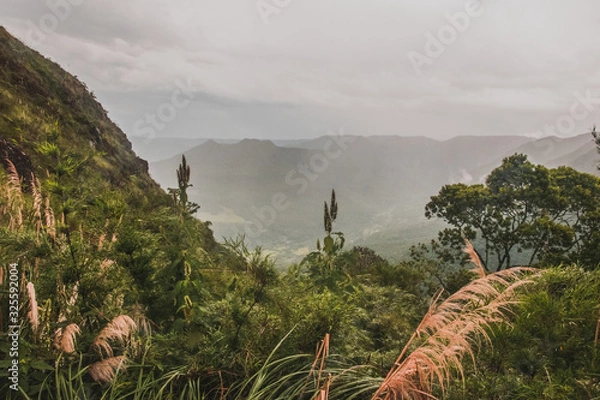 Obraz Montañas con neblina