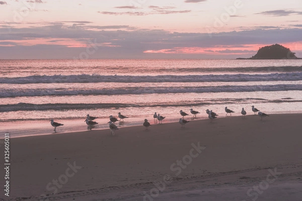 Obraz Amanecer en la playa brasilera con aves