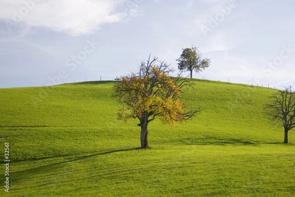 Obraz kolory jesieni ii