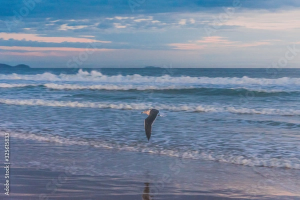 Obraz Amanecer en la playa brasilera con aves