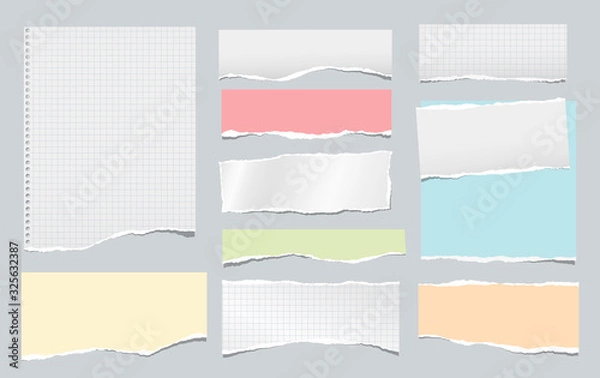 Fototapeta Torn white squared and colorful note, notebook paper strips, pieces stuck on grey background. Vector illustration