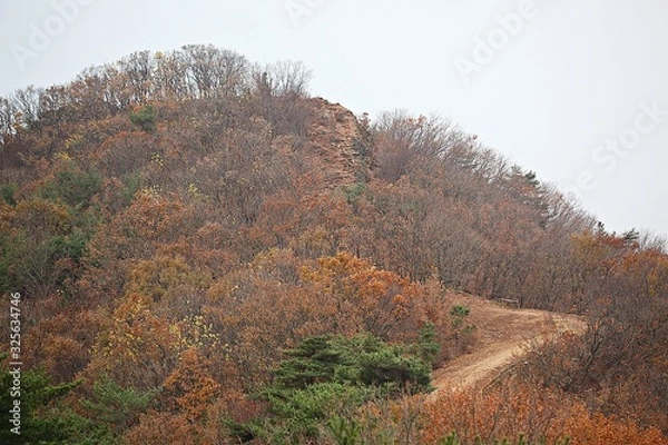 Fototapeta 전등사둘레길입니다