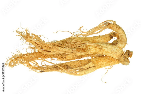 Obraz Dried Ginseng Roots Isolated On White Background