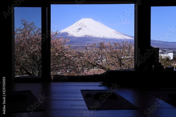 Fototapeta 座禅堂の中から見えた桜と富士山の絶景