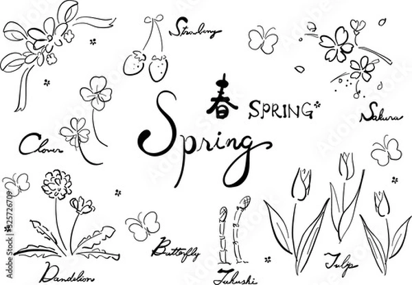 Fototapeta 線画, 単色, 白黒, モノクロ, グレー, 春セット, 春, spring, 春素材, 春集合, ベクター, セット, 集合, 素材, 花, 植物, 春の花, 桜, さくら, サクラ, チューリップ, イチゴ, いちご, 苺, たんぽぽ, タンポポ, クローバー, 四つ葉, つくし, 土筆, 蝶, 蝶々, ちょうちょ, リボン, 英語, 文字, 英文, 筆記体, かわいい, きれい, 手描き風,
