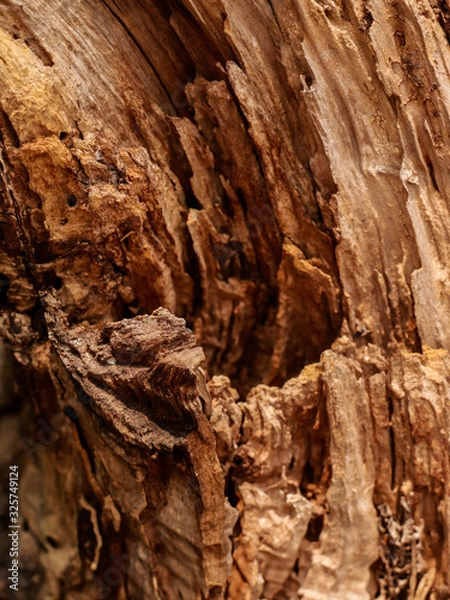 Obraz dark brown old wooden background