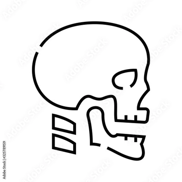 Fototapeta Cranial bone structure line icon, concept sign, outline vector illustration, linear symbol.