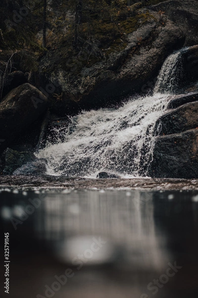 Obraz waterfall in forest