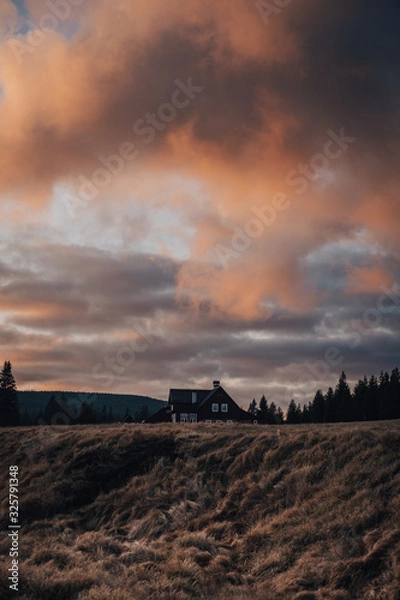 Obraz sunset over meadow