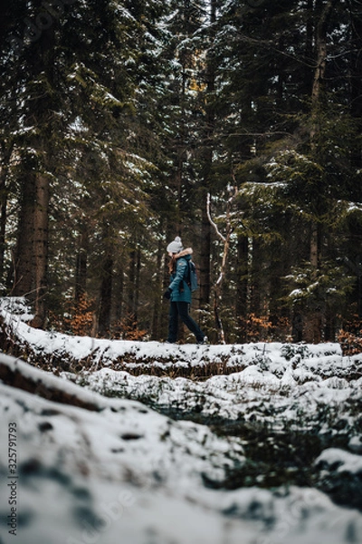 Obraz hiker in forest