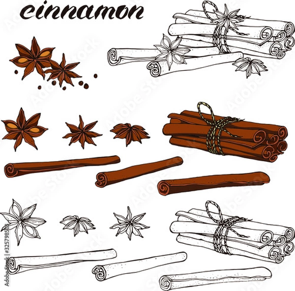 Obraz Vector set with hand drawn cinnamon : linear and colored brown stcks , stars, seeds. Line art, lettering