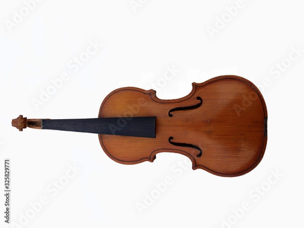 Obraz   Violin blank isolated on white background