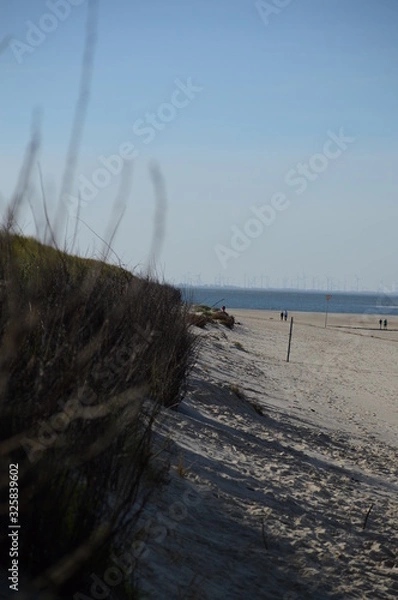 Fototapeta Spiekerooger Strand