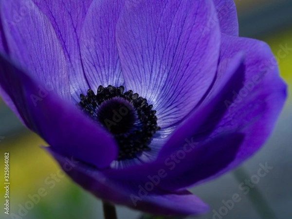 Obraz OLYMPUS DIGITAL CAMERA