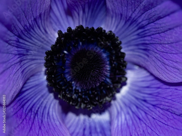 Obraz OLYMPUS DIGITAL CAMERA