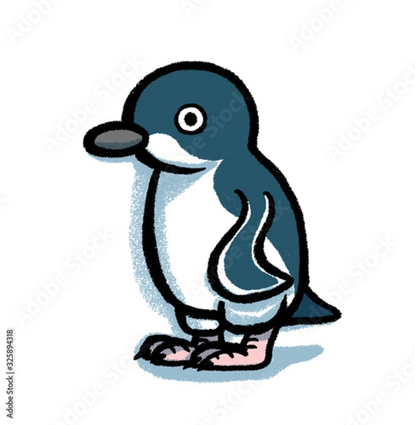 Obraz コビトペンギン