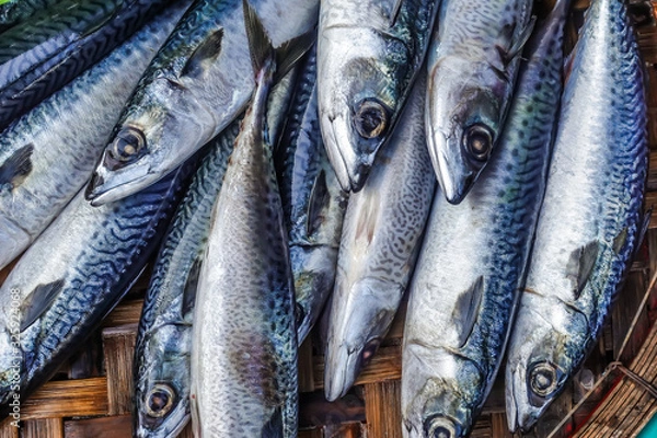 Obraz Asian city seafood market. Top and close up view of freshly caught fish on the counter for sale.