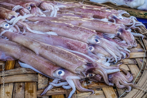 Obraz Asian city seafood market. Side and close up view of fresh calamari seafood for sale. The calamari are laid out on a wicker counter.
