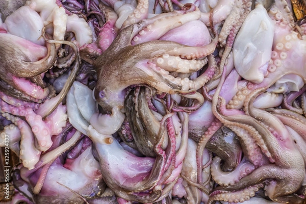 Obraz Asian city seafood market. Top and close up view of fresh small sized octopuses seafood for sale.