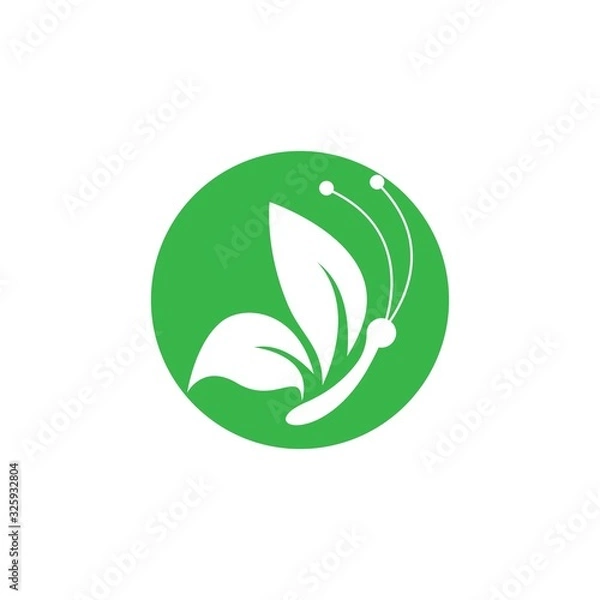 Obraz Butterfly logo vector icon