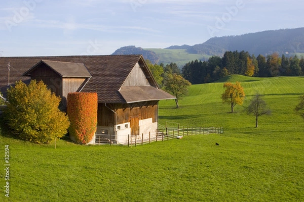 Obraz swiss farm vi