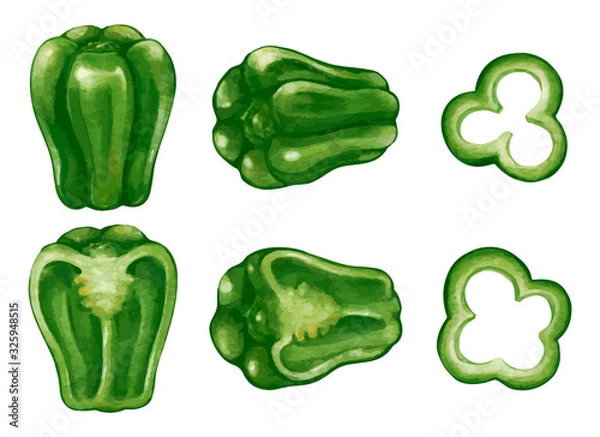 Obraz 水彩風のピーマンとカットしたピーマン、スライスしたピーマンのイラスト