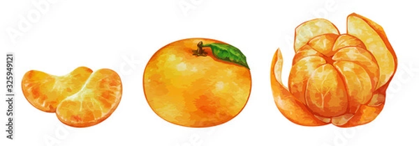 Obraz 水彩風のみかんのイラスト