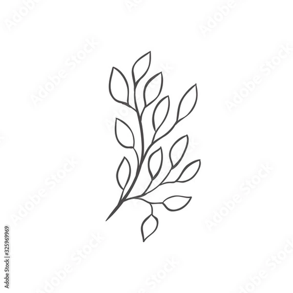 Fototapeta Hand drawn plant branches. Greenery design elements. Botanical logos.