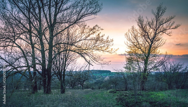 Obraz Spring landscape
